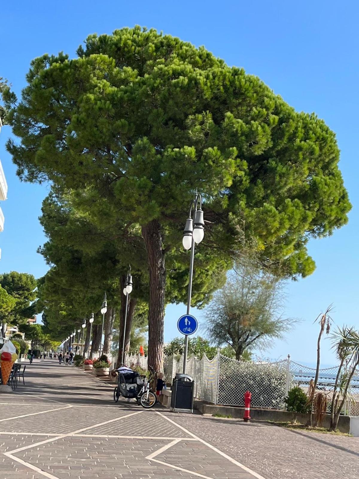 Grado Laguna Apartment Εξωτερικό φωτογραφία